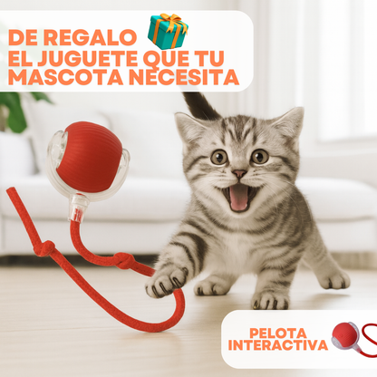 Cepillo Multifunción® + Pelota Interactiva DE REGALO