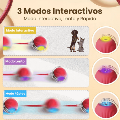 Cepillo Multifunción® + Pelota Interactiva DE REGALO